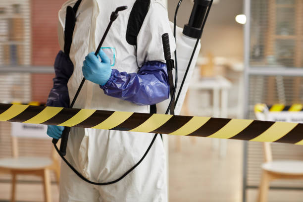 Professional Blood Cleanup technician working in Elbe, WA